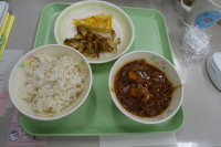 DSC04052