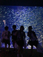 DBCDB1EA-30FF-4066-9DA7-1FCDD6027CF3