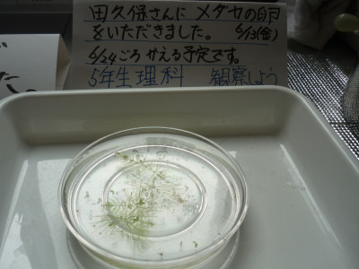 P1160101