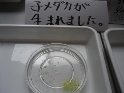 P1160102